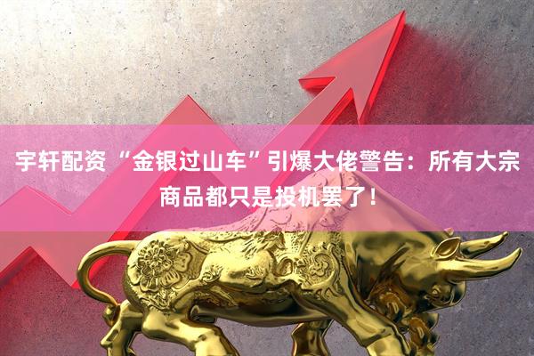 宇轩配资 “金银过山车”引爆大佬警告：所有大宗商品都只是投机罢了！