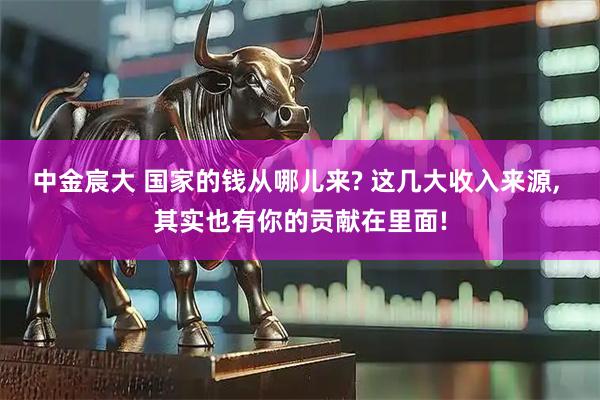 中金宸大 国家的钱从哪儿来? 这几大收入来源, 其实也有你的贡献在里面!