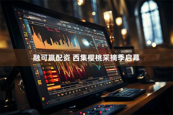 融可赢配资 西集樱桃采摘季启幕