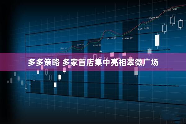 多多策略 多家首店集中亮相翠微广场