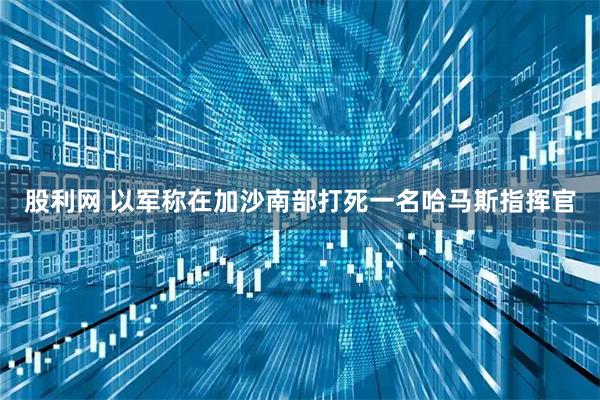 股利网 以军称在加沙南部打死一名哈马斯指挥官